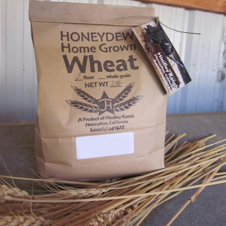 Organic Sonora Whole Wheat Flour